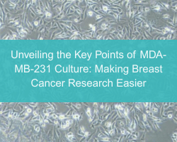 Unveiling the Key Points of MDA-MB-231 Culture: Making Breast Cancer Research Easier - cover